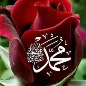 Meet your Posher, Najiba